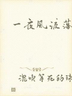 一夜风流落裔