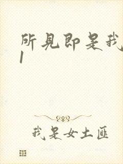所见即是我1V1