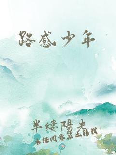 路感少年