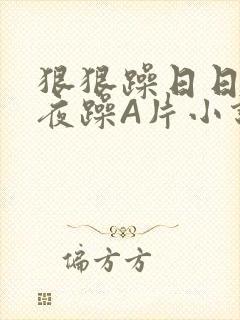 狠狠躁日日躁夜夜躁A片小说