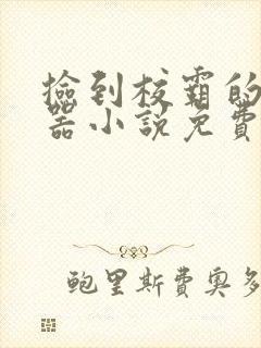 捡到校霸的遥控器小说免费阅读