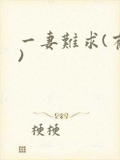 一妻难求(有肉)
