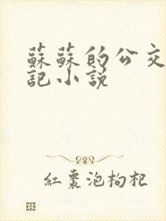 苏苏的公交车日记小说