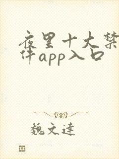 夜里十大禁用软件app入口