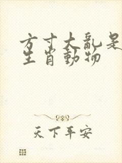 方寸大乱是什么生肖动物