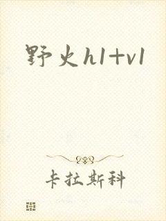 野火h1+v1