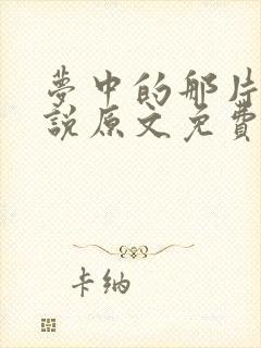 梦中的那片海小说原文免费阅读