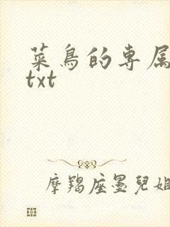 菜鸟的专属大神txt