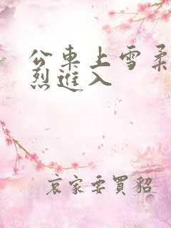 公车上雪柔被猛烈进入