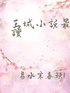王城小说最近阅读