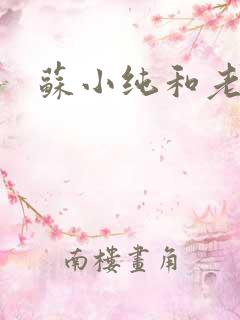 苏小纯和老苏