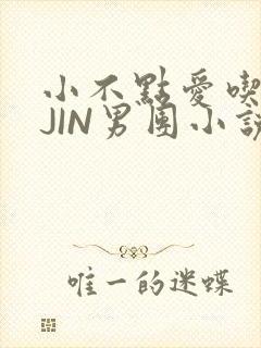 小不点爱吃肉混JIN男团小说