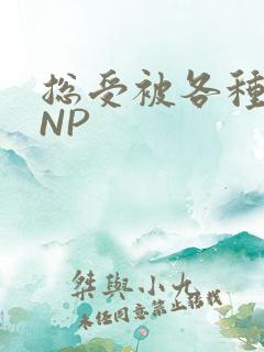 总受被各种姿势NP