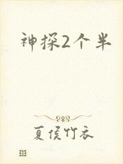 神探2个半