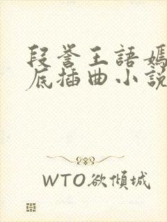 段誉王语嫣在井底插曲小说