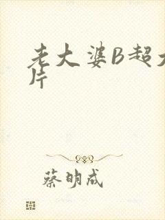 老大婆B超大图片