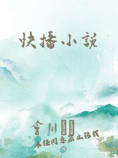 快播小说
