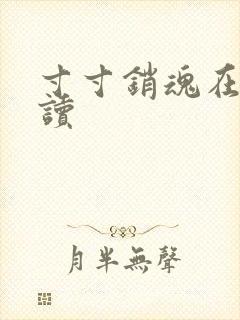 寸寸销魂在线阅读