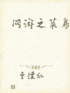 网游之菜鸟