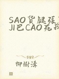 SAO货腿张开JI巴CAO死我