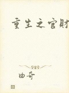 重生之官财人生