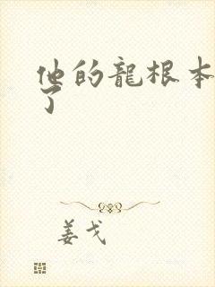 他的龙根本太大了