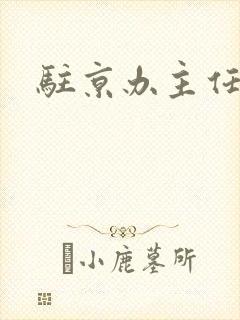 驻京办主任对手