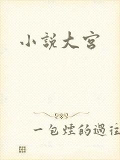 小说大宫