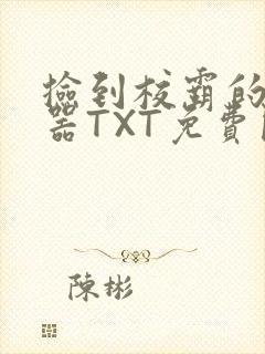 捡到校霸的遥控器TXT免费阅读