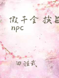 假千金 挨日记 npc