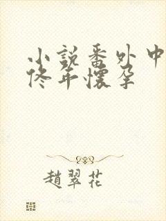 小说番外中结局佟年怀孕