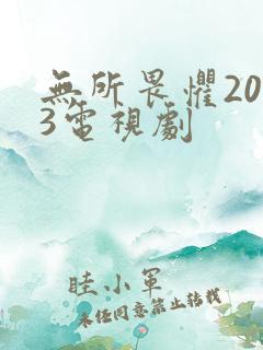 无所畏惧2023电视剧