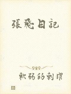 张飞日记