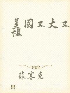 美国又大又长又租