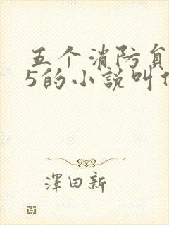 五个消防员1v5的小说叫什么