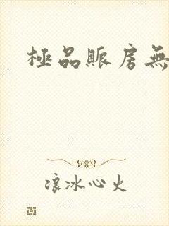 极品账房无弹窗