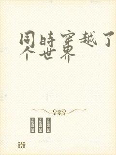 同时穿越了99个世界