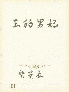 王的男妃