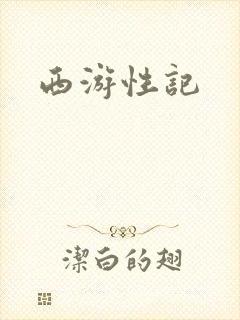 西游性记