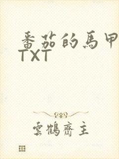 番茄的马甲小说TXT