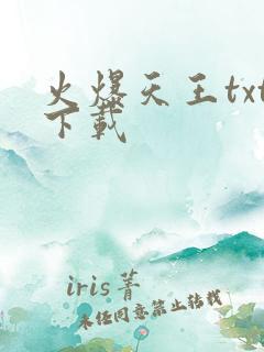 火爆天王txt下载