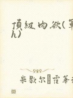 顶级肉欲(军高h)