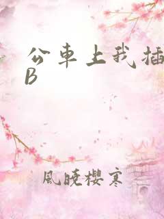 公车上我插上骚B
