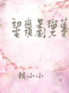 初恋是榴莲先生电视剧免费观看