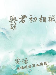 与君初相识 小说