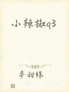 小辣椒q3