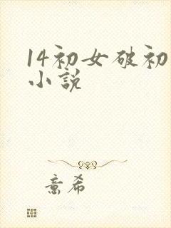 14初女破初的小说