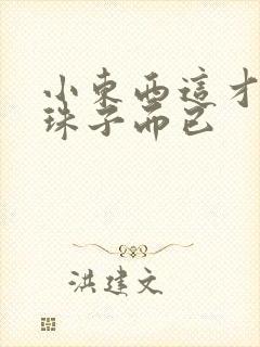 小东西这才一颗珠子而已