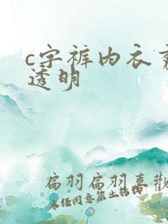 c字裤内衣秀全透明