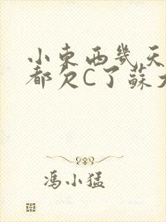 小东西几天没做都欠C了苏大深